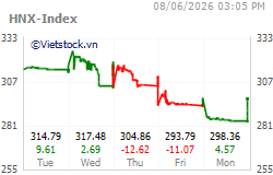 Chỉ số VN-Index (Việt Nam)