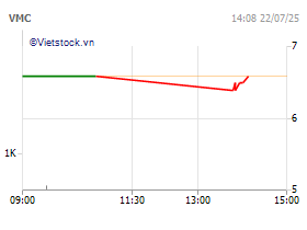 CTCP Vimeco