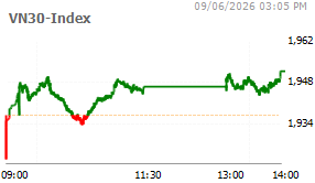 VN30 Index