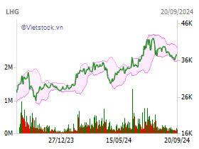 LHG: CTCP Long Hậu - LHC - Tài chính | VietstockFinance