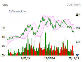 VDS: CTCP Chứng khoán Rồng Việt - VDSC | VietstockFinance