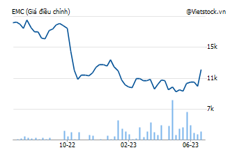 EMC: CTCP Cơ điện Thủ Đức - Thu Duc EMC S.J.C | VietstockFinance